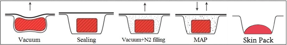 Thermoforming Vacuum Packing and Nitrogen Filling Automatic Packing Machine for Food Meat Fruit Vegetable and Fish